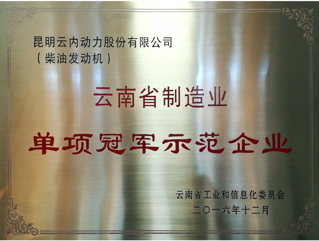 云南省造作业单项冠军示范企业