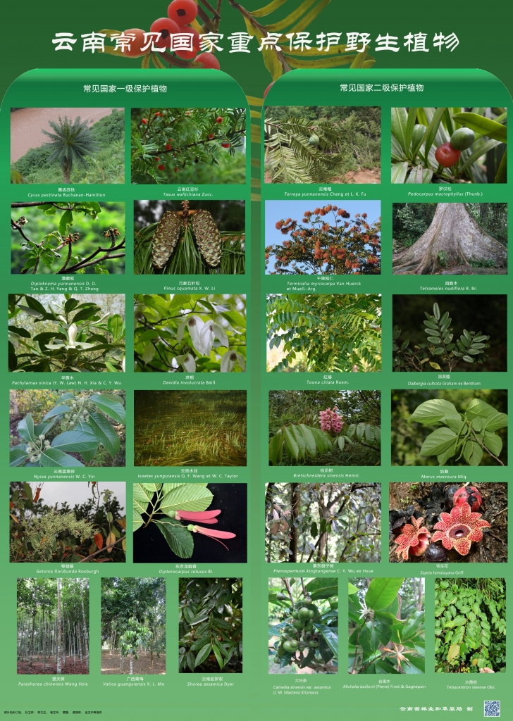 以案普法：风险国度沉点；ぶ参镒