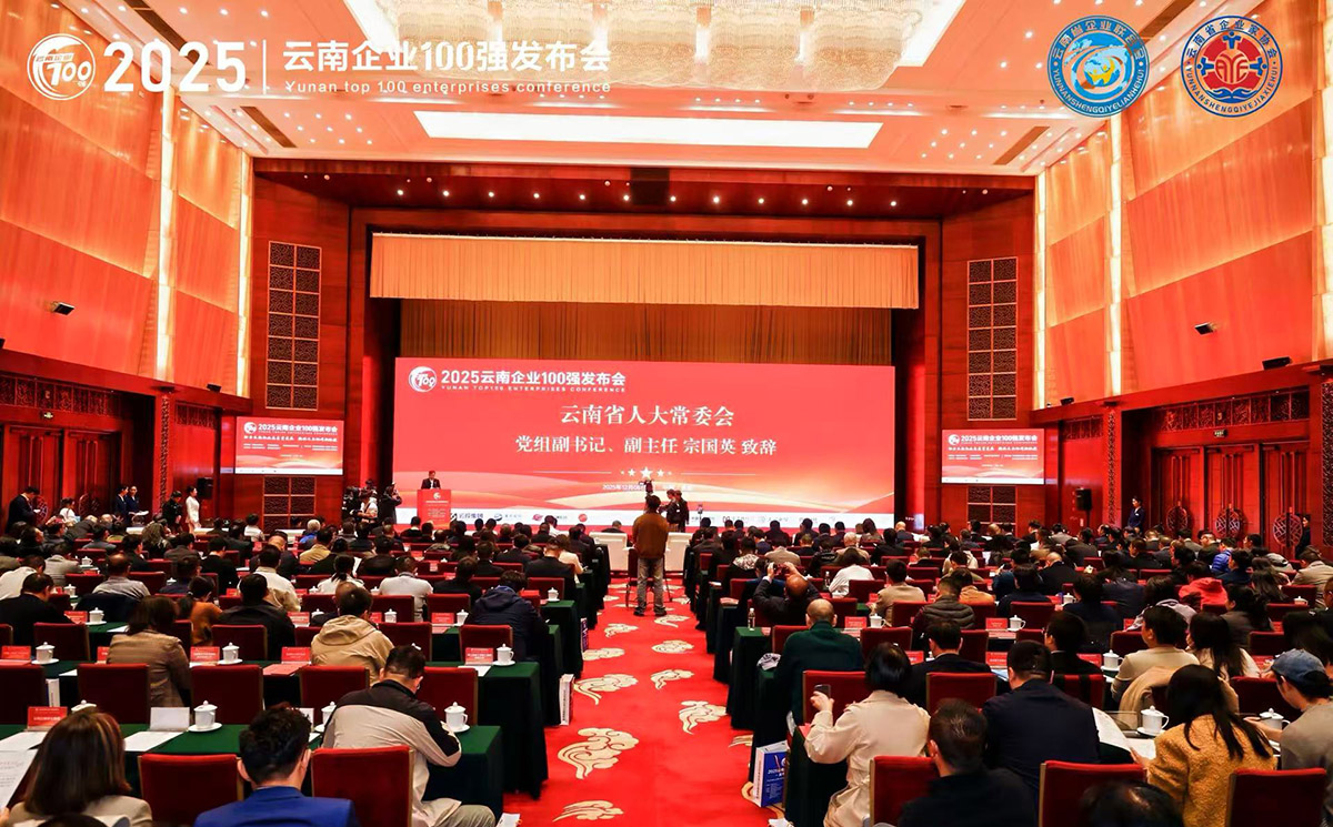 人生就是博官网动力集团荣登“云南企业100强”、“云南造作业企业50强”、“云南高新技术企业100强”榜单